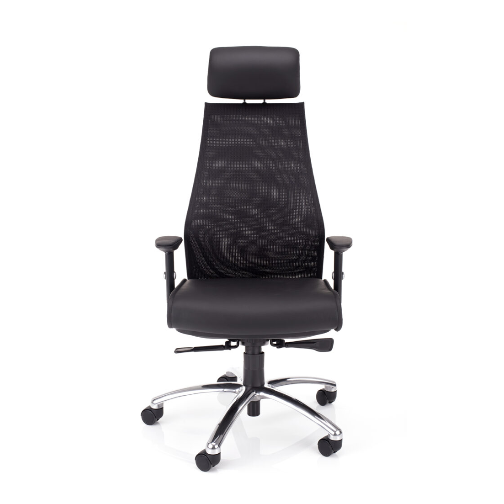 ERGODYNAMIC EVOLUTION pisarniški stol